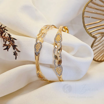 Wamiqa Daily Wear 2pc Bangles | Fynsia