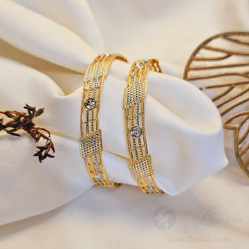 Disha Daily Wear 2pc Bangles | Fynsia