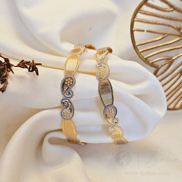 Tamanna Daily Wear 2pc Bangles | Fynsia