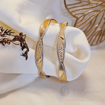 Parul Daily Wear 2pc Bangles | Fynsia