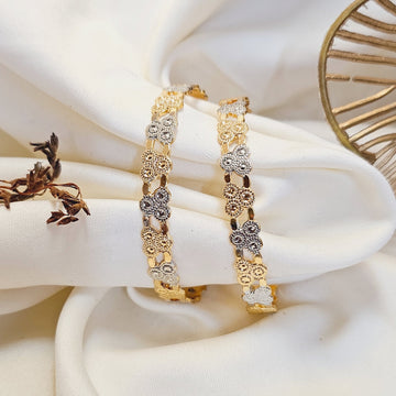 Rifo Daily Wear 2pc Bangles | Fynsia