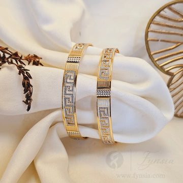 Semiore Daily Wear 2pc Bangles | Fynsia