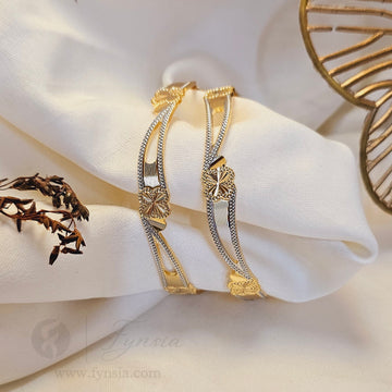 Khushbu Daily Wear 2pc Bangles | Fynsia