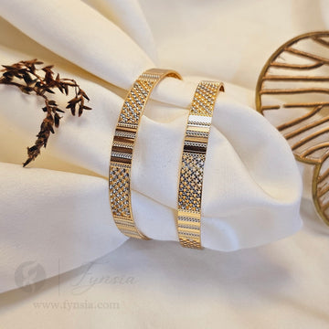 Farheen Daily Wear 2pc Bangles | Fynsia