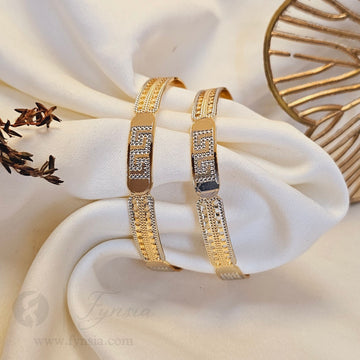 Suhana Daily Wear 2pc Bangles | Fynsia