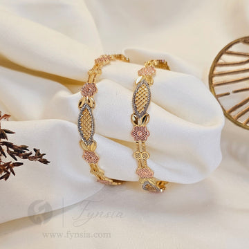Dania Daily Wear 2pc Bangles | Fynsia