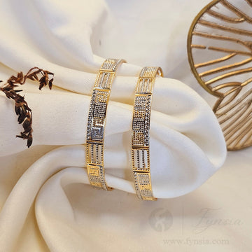 Rasha Daily Wear 2pc Bangles | Fynsia